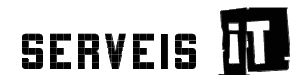 Logo Serveis IT, ir a inicio
