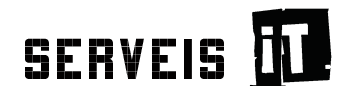 Logo Serveis IT, ir a inicio
